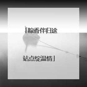 粽香伴归途 站点绽温情