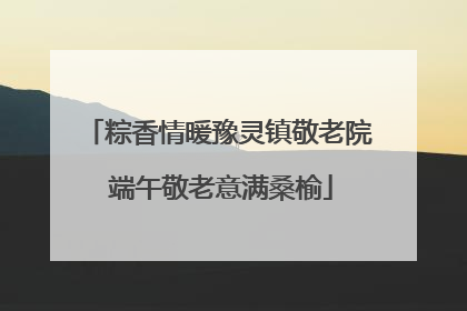 粽香情暖豫灵镇敬老院 端午敬老意满桑榆