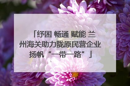 纾困 畅通 赋能 兰州海关助力陇原民营企业扬帆“一带一路”