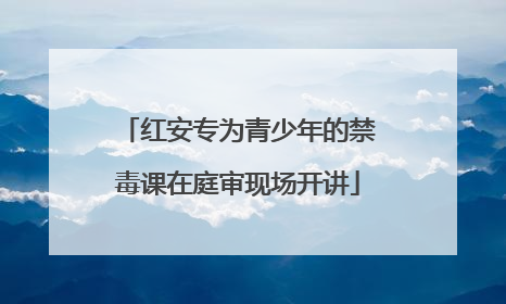 红安专为青少年的禁毒课在庭审现场开讲