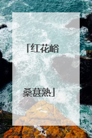 红花峪 桑葚熟