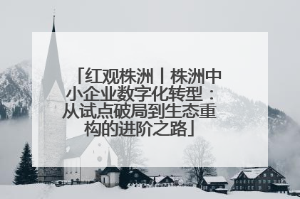 红观株洲丨株洲中小企业数字化转型：从试点破局到生态重构的进阶之路