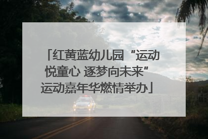 红黄蓝幼儿园“运动悦童心 逐梦向未来”运动嘉年华燃情举办