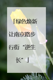绿色焕新让南京路步行街“逆生长”