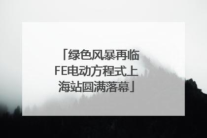 绿色风暴再临 FE电动方程式上海站圆满落幕