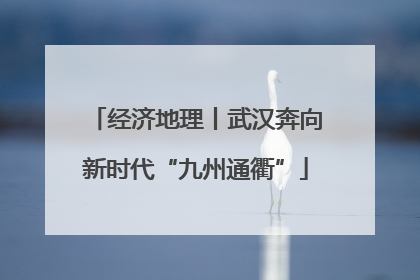 经济地理丨武汉奔向新时代“九州通衢”