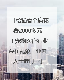 给猫看个病花费2000多元！宠物医疗行业存在乱象，业内人士呼吁→