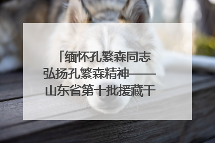 缅怀孔繁森同志 弘扬孔繁森精神——山东省第十批援藏干部人才清明节前到岗巴县开展党性教育