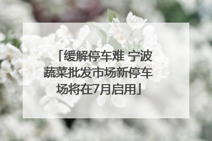 缓解停车难 宁波蔬菜批发市场新停车场将在7月启用