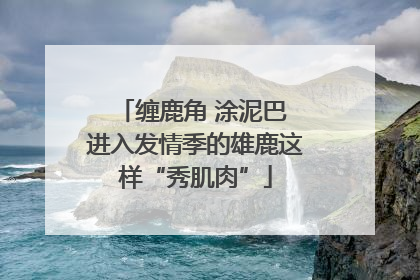 缠鹿角 涂泥巴 进入发情季的雄鹿这样“秀肌肉”