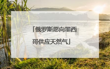 俄罗斯愿向墨西哥供应天然气