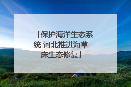 保护海洋生态系统 河北推进海草床生态修复