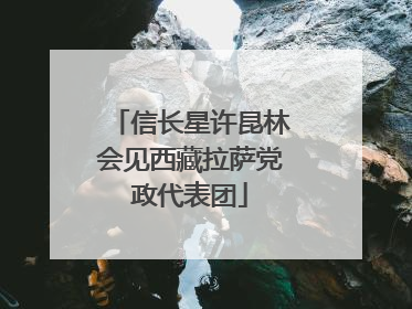 信长星许昆林会见西藏拉萨党政代表团