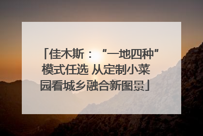 佳木斯：“一地四种” 模式任选 从定制小菜园看城乡融合新图景