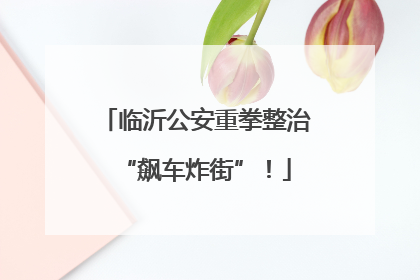 临沂公安重拳整治“飙车炸街”！