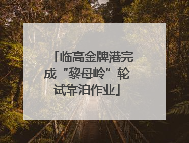 临高金牌港完成“黎母岭”轮试靠泊作业