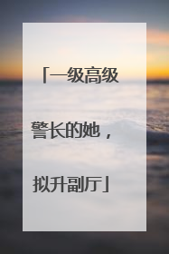 一级高级警长的她，拟升副厅