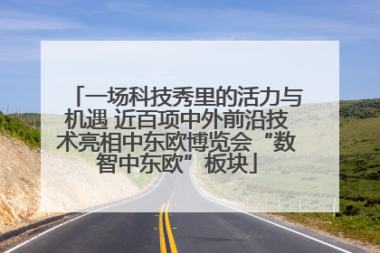 一场科技秀里的活力与机遇 近百项中外前沿技术亮相中东欧博览会“数智中东欧”板块