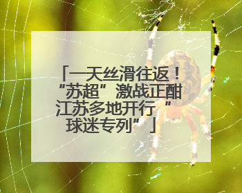 一天丝滑往返！“苏超”激战正酣 江苏多地开行“球迷专列”