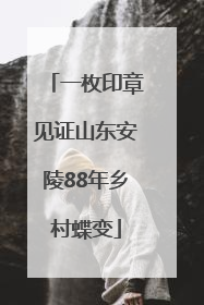 一枚印章见证山东安陵88年乡村蝶变