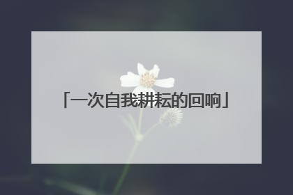 一次自我耕耘的回响
