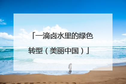 一滴卤水里的绿色转型（美丽中国）