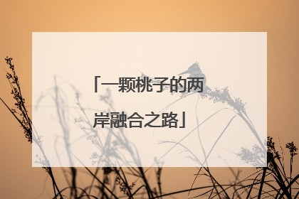 一颗桃子的两岸融合之路