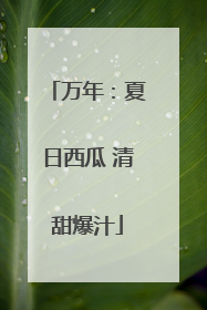 万年：夏日西瓜 清甜爆汁