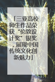 三亚高校师生作品荣获“伦敦设计奖”银奖，展现中国传统文化创新魅力
