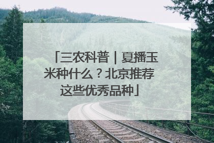 三农科普｜夏播玉米种什么？北京推荐这些优秀品种
