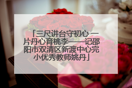 三尺讲台守初心 一片丹心育桃李——记邵阳市双清区新渡中心完小优秀教师姚丹