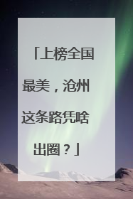 上榜全国最美，沧州这条路凭啥出圈？