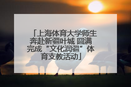 上海体育大学师生奔赴新疆叶城 圆满完成“文化润疆”体育支教活动