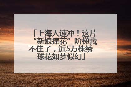 上海人速冲！这片“新娘捧花”阶梯藏不住了，近5万株绣球花如梦似幻
