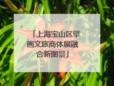 上海宝山区擘画文旅商体展融合新图景