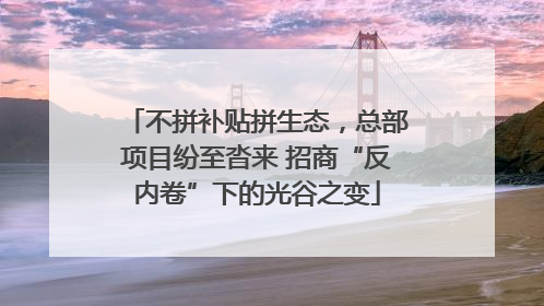 不拼补贴拼生态，总部项目纷至沓来 招商“反内卷”下的光谷之变