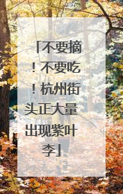 不要摘！不要吃！杭州街头正大量出现紫叶李