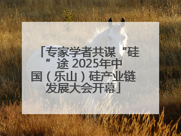 专家学者共谋“硅”途 2025年中国（乐山）硅产业链发展大会开幕