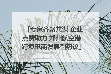 专家齐聚共谋 企业点赞助力 郑州航空港跨境电商发展引热议