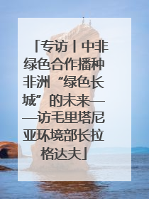 专访丨中非绿色合作播种非洲“绿色长城”的未来——访毛里塔尼亚环境部长拉格达夫