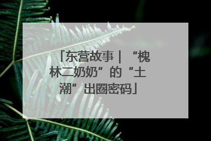 东营故事｜“槐林二奶奶”的“土潮”出圈密码
