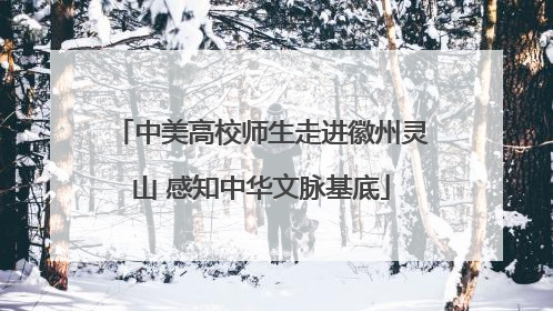 中美高校师生走进徽州灵山 感知中华文脉基底
