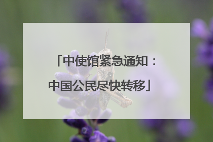 中使馆紧急通知：中国公民尽快转移