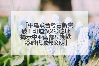 中乌联合考古新突破！班迪汉2号遗址揭示中亚南部早期铁器时代城邦文明