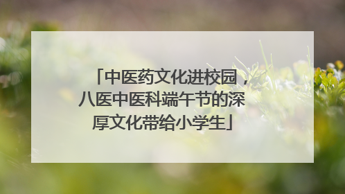 中医药文化进校园，八医中医科端午节的深厚文化带给小学生