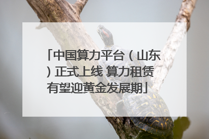 中国算力平台（山东）正式上线 算力租赁有望迎黄金发展期