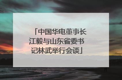 中国华电董事长江毅与山东省委书记林武举行会谈