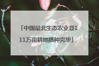 中国最北生态农业县111万亩耕地播种完毕