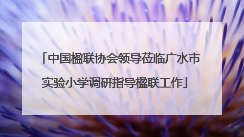中国楹联协会领导莅临广水市实验小学调研指导楹联工作