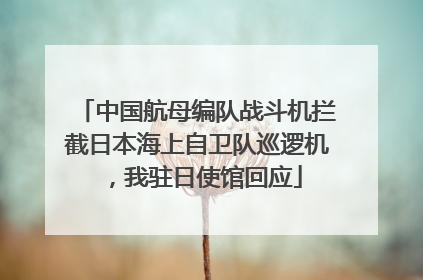 中国航母编队战斗机拦截日本海上自卫队巡逻机，我驻日使馆回应